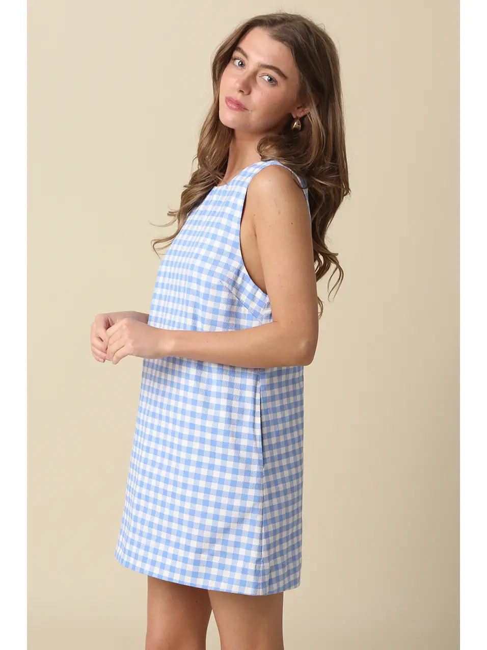 July Skies Gingham Mini Dress