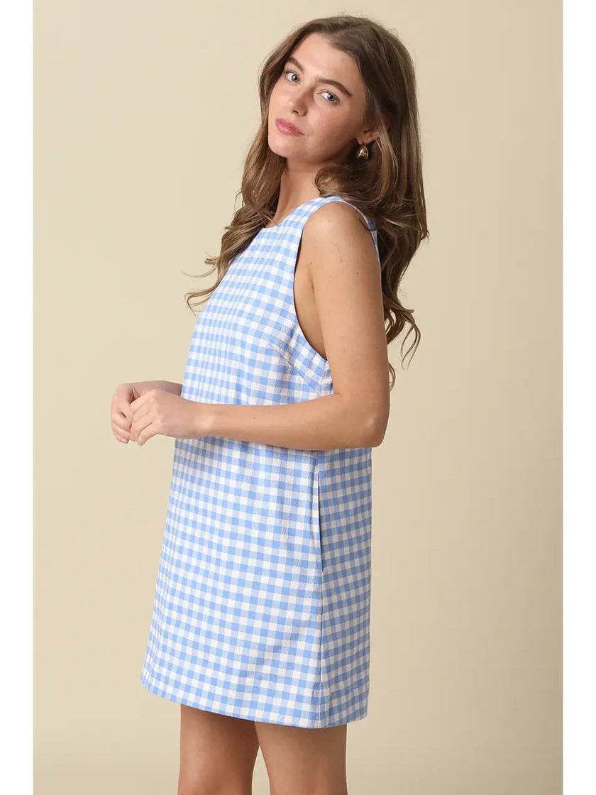 July Skies Gingham Mini Dress