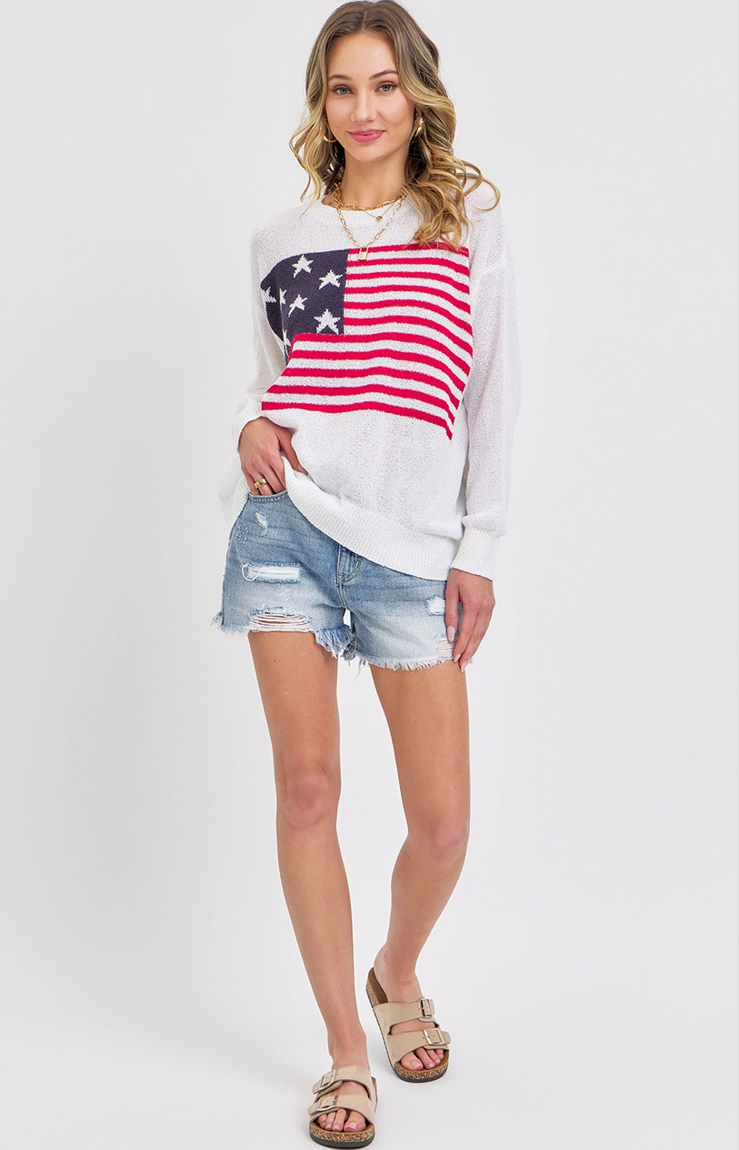 One Nation Under Knit Sweater